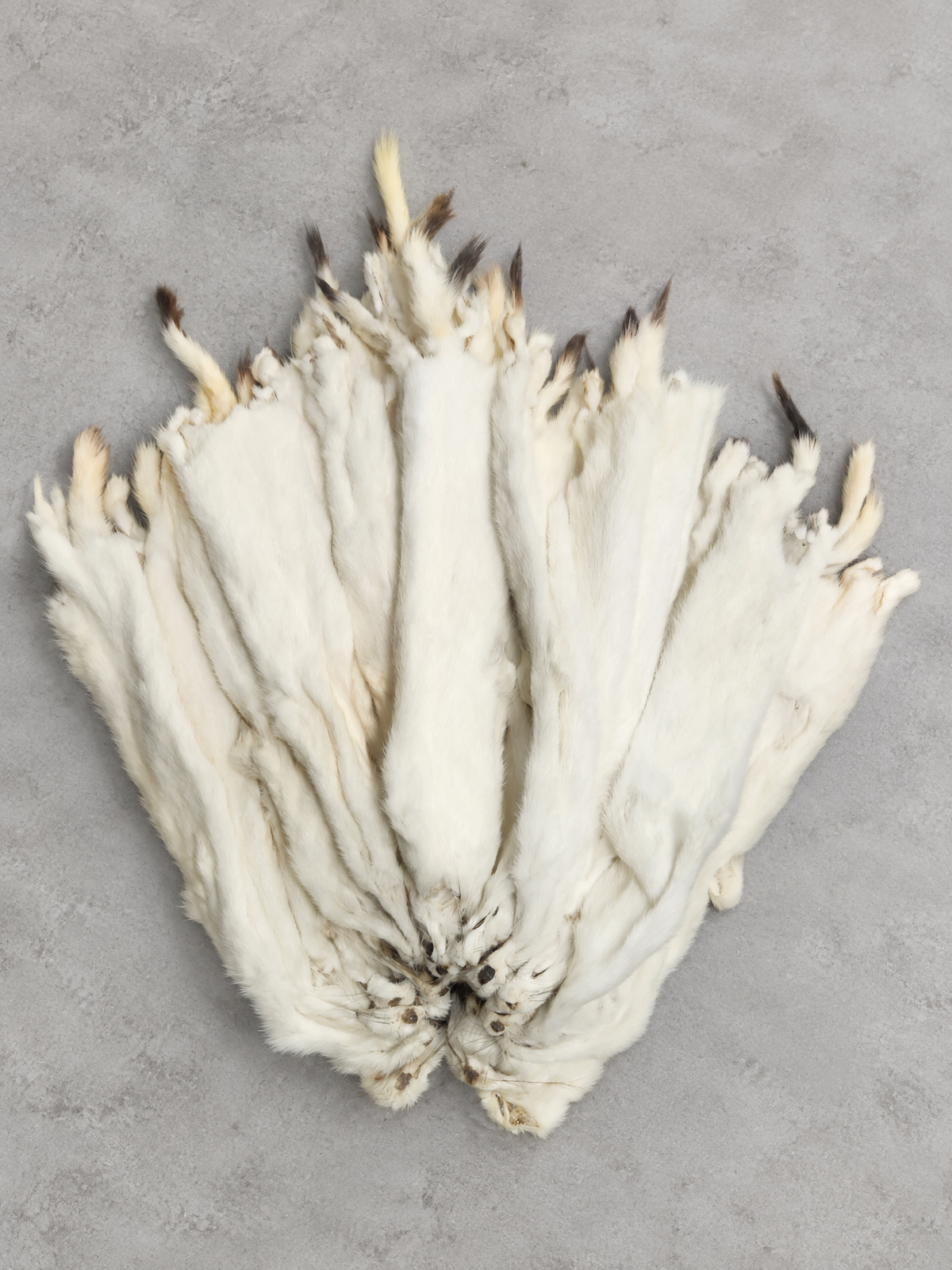 ERMINE PELTS