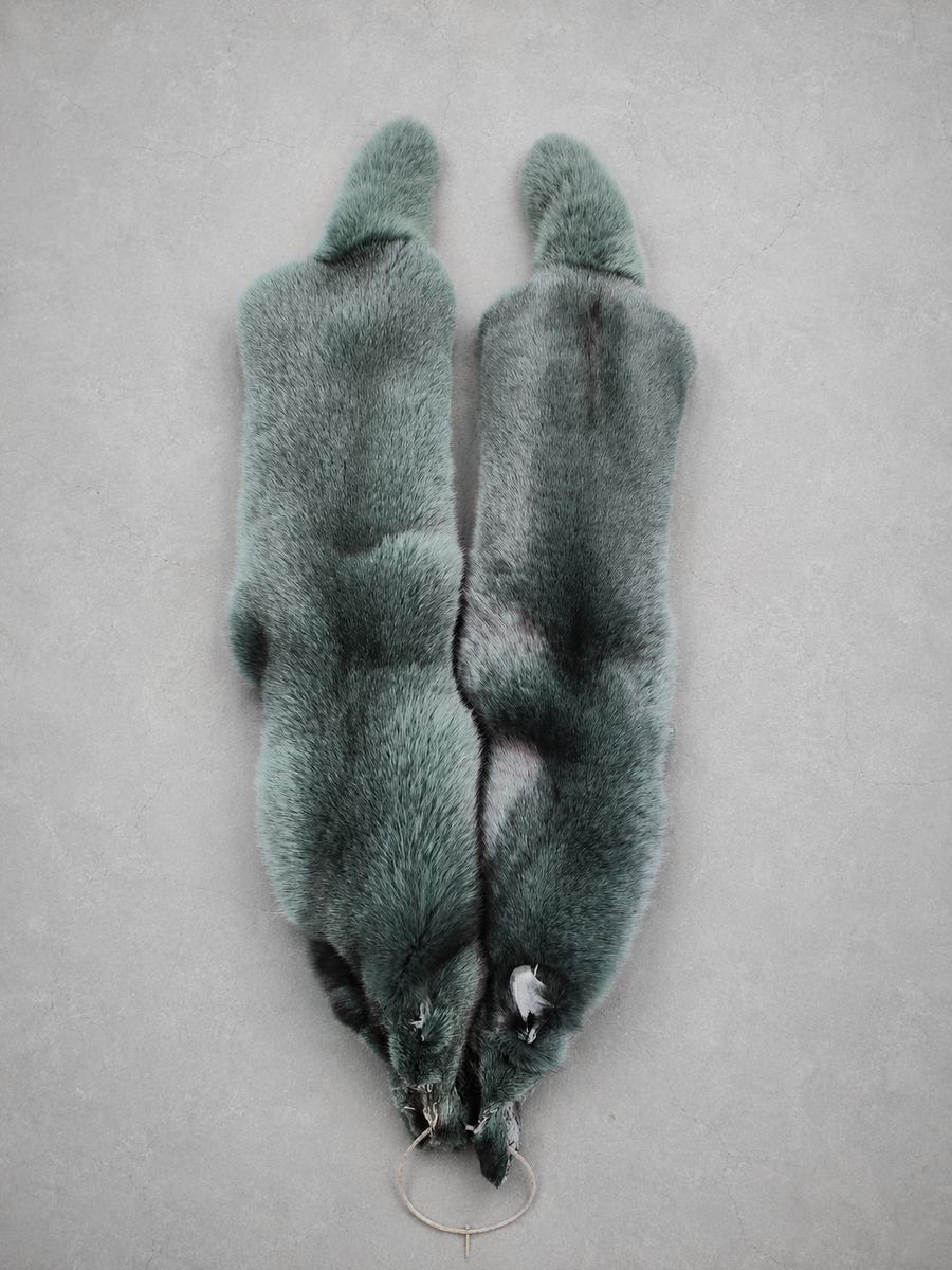 DYED GREEN FOX PELT (RANCH)