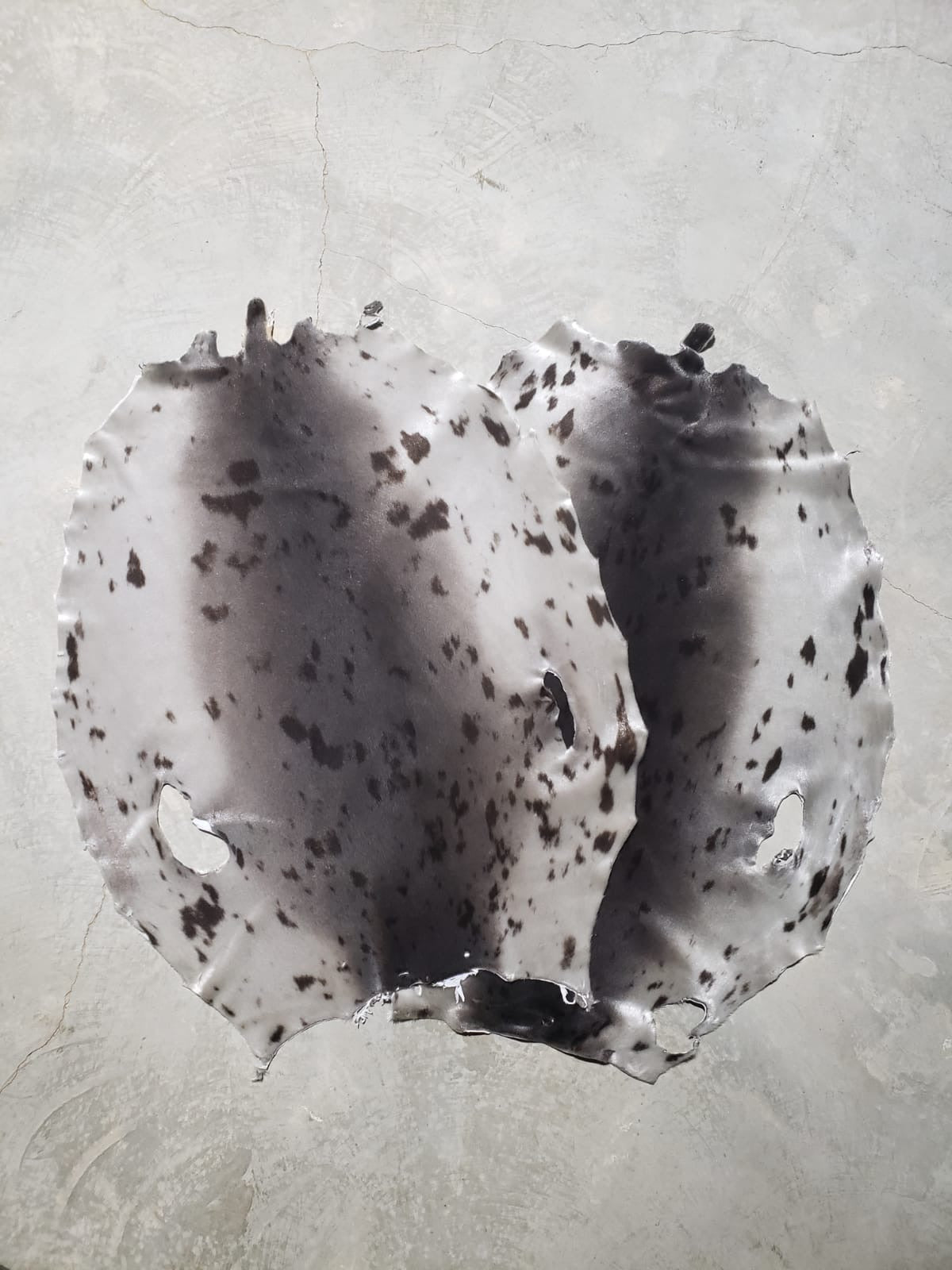 HARP SEAL PELTS (LARGE & XL)