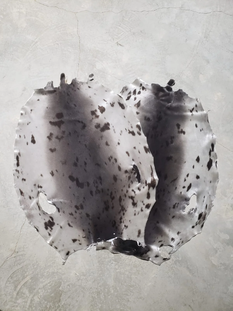 HARP SEAL PELTS