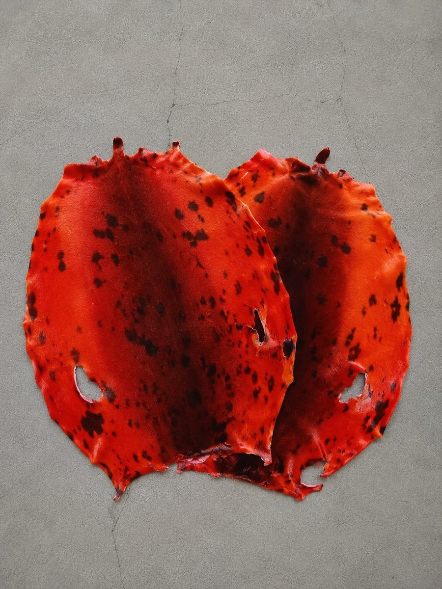 DYED RED HARP SEAL PELT