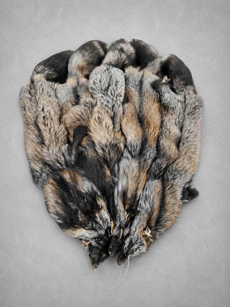 CROSS FOX PELTS  (RANCH)