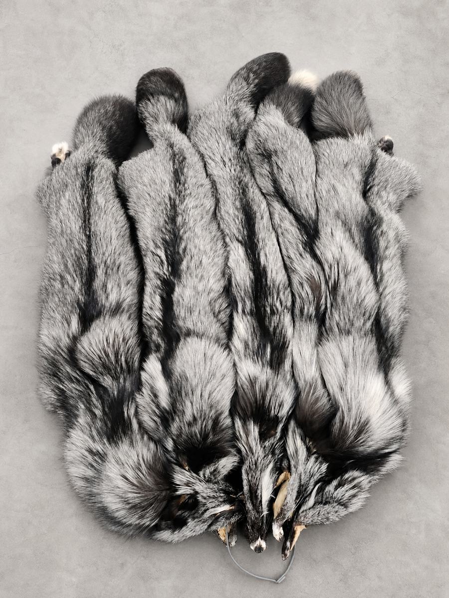 SILVER FOX PELTS (RANCH)
