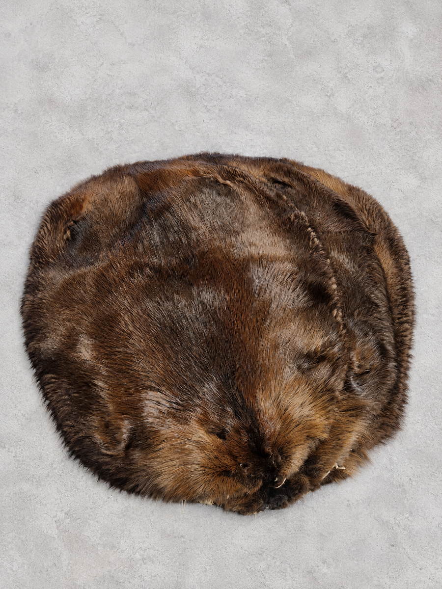 BEAVER PELTS