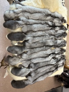 PEARL FOX  PELTS (RANCH)