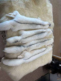 MARBLE FOX PELTS (RANCH)