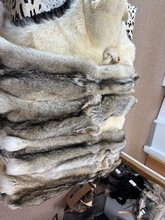 WOLF PELT