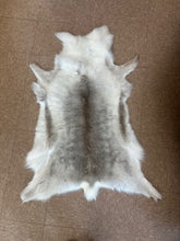 Load image into Gallery viewer, REINDEER HIDE