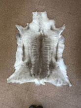 Load image into Gallery viewer, REINDEER HIDE