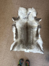 Load image into Gallery viewer, REINDEER HIDE