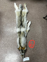 Load image into Gallery viewer, WOLF PELT