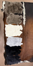Load image into Gallery viewer, Rex Rabbit Pelts