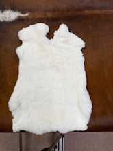 Load image into Gallery viewer, Rex Rabbit Pelts