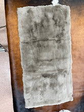 Load image into Gallery viewer, REX RABBIT PLATES