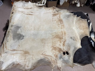Bison and Elk Raw Hide