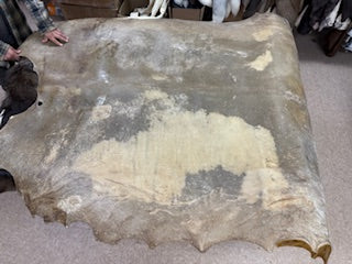 Bison and Elk Raw Hide