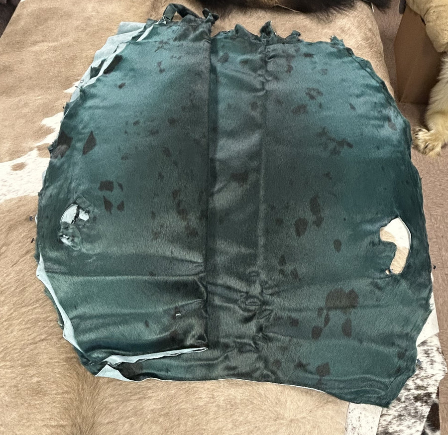 Teal Harp Seal Pelts