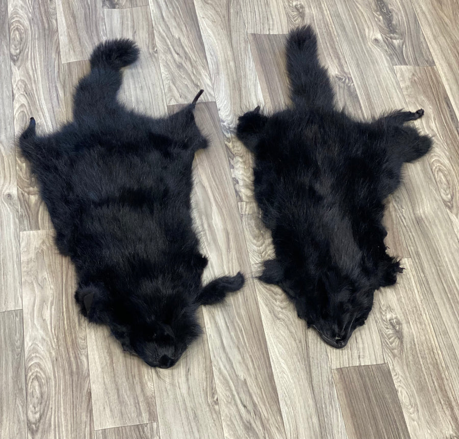 DYED BLACK RACCOON PELTS