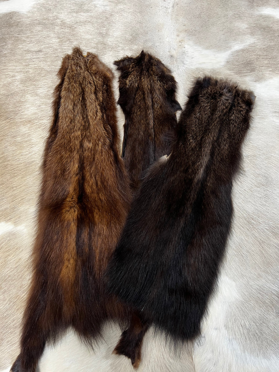 FISHER PELTS