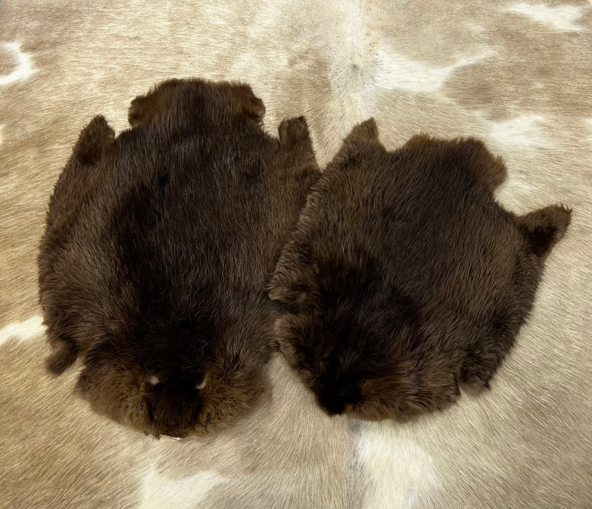BEAVER FUR PELTS (SM)