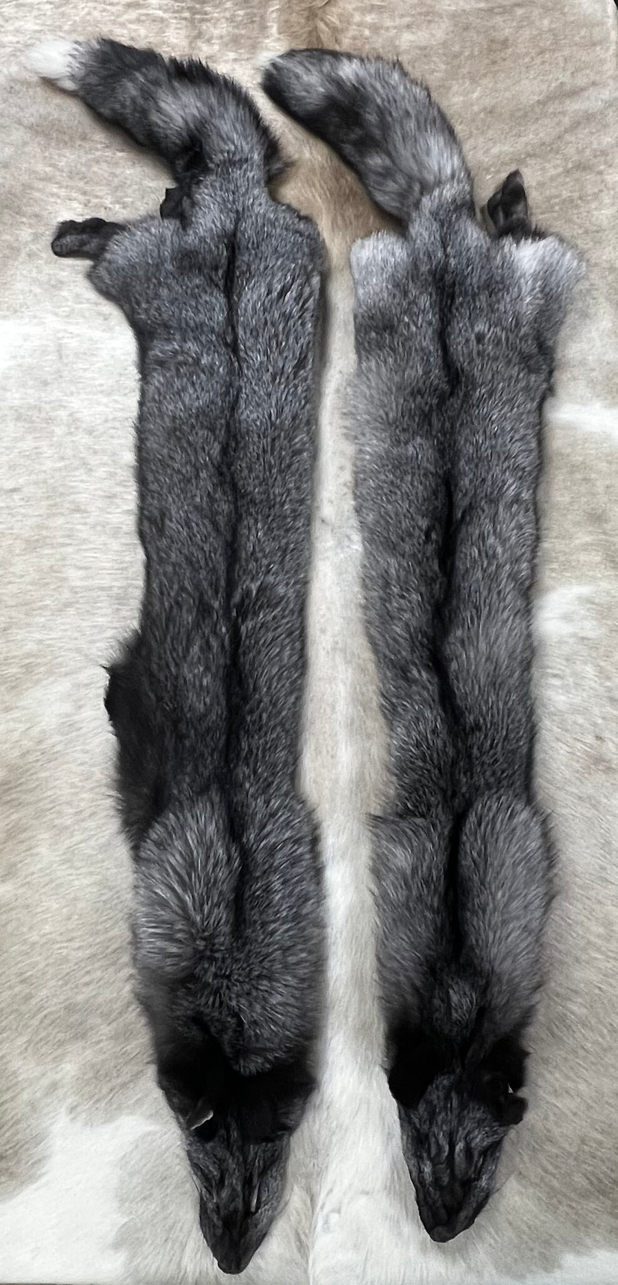 BLUE FROST FOX (RANCH)