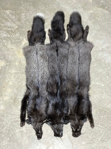 SILVER FOX PELTS (WILD)