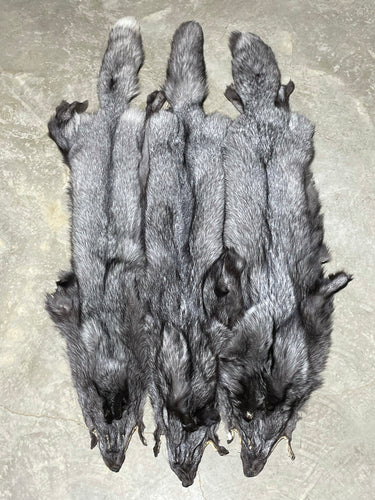 SILVER FOX PELTS (RANCH)