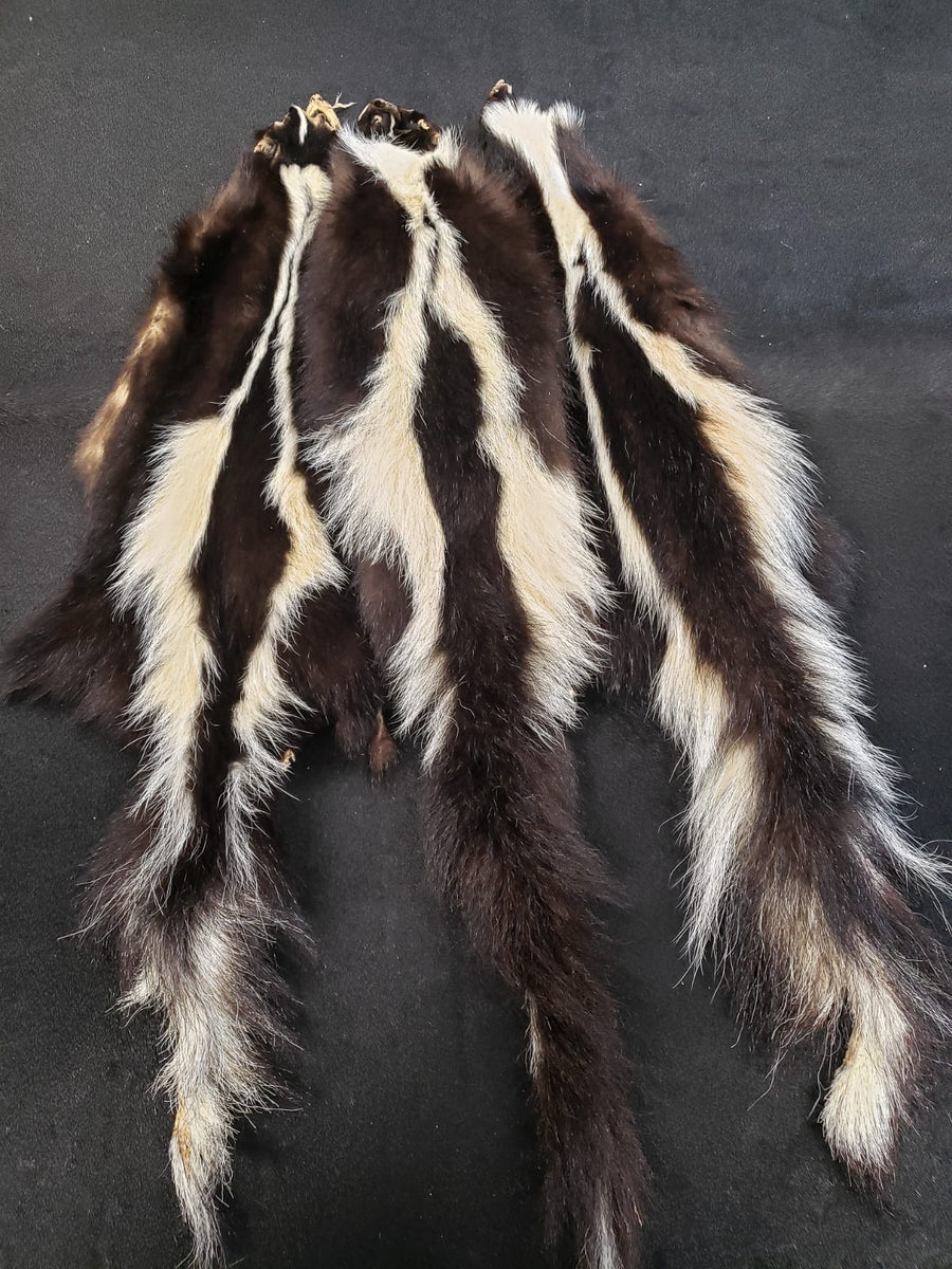 SKUNK PELTS
