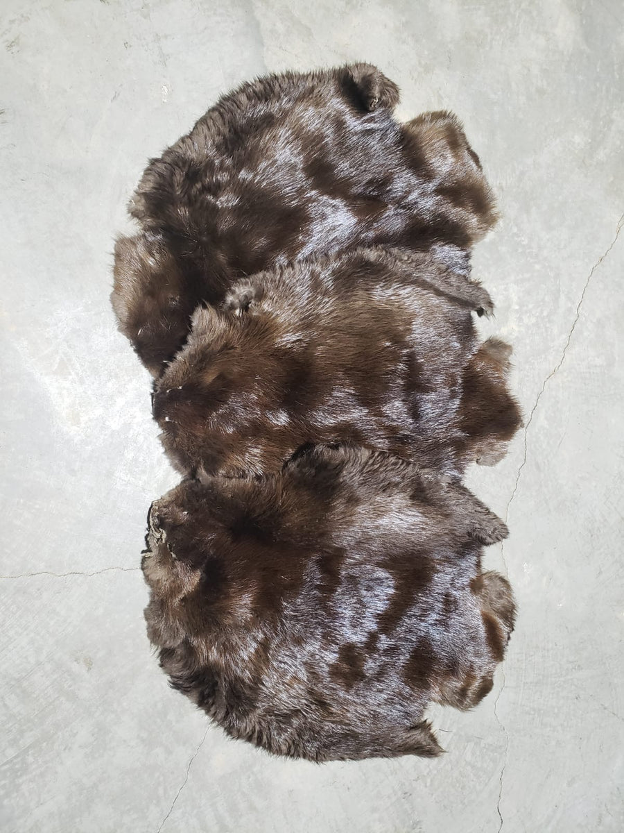BEAVER FUR PELTS (SM)